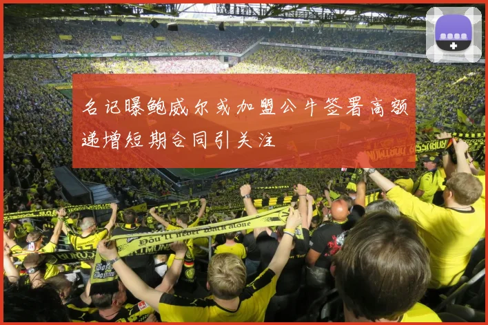 名记曝鲍威尔或加盟公牛签署高额递增短期合同引关注