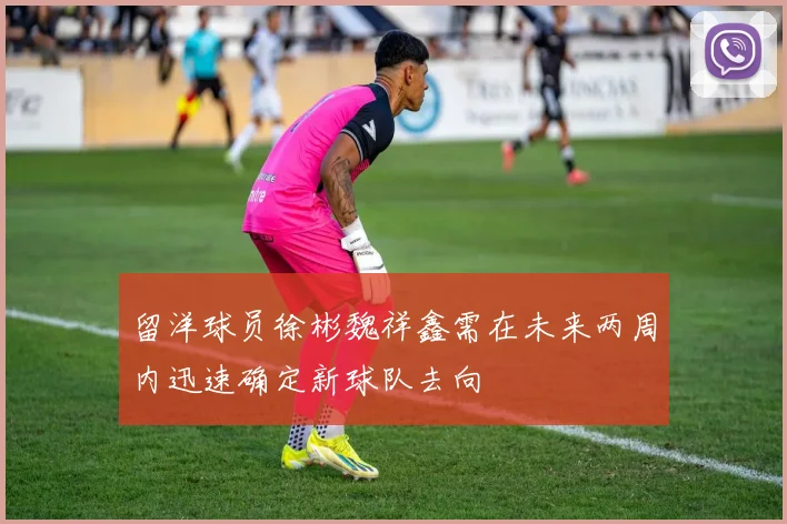 留洋球员徐彬魏祥鑫需在未来两周内迅速确定新球队去向